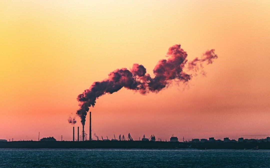 Día de la reducción Co2: ¿cómo cerró el 2024 para el planeta?