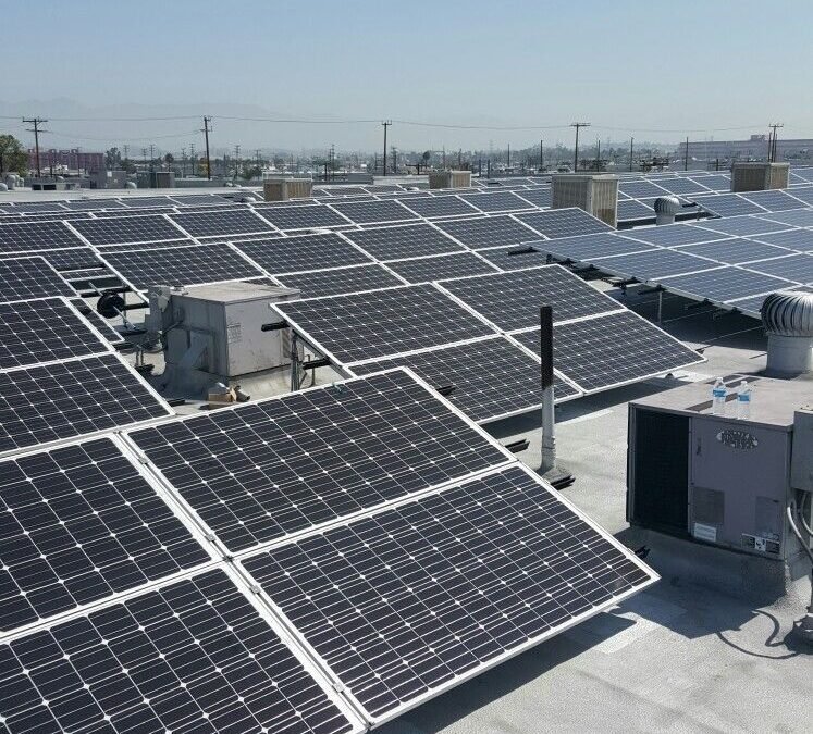 Transformación energética en Colombia: la visión empresarial que está redefiniendo el futuro sostenible